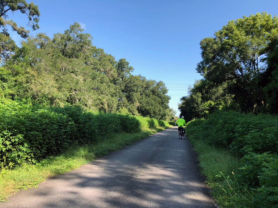 high viz cyclist on trail with heavy greenery on either side