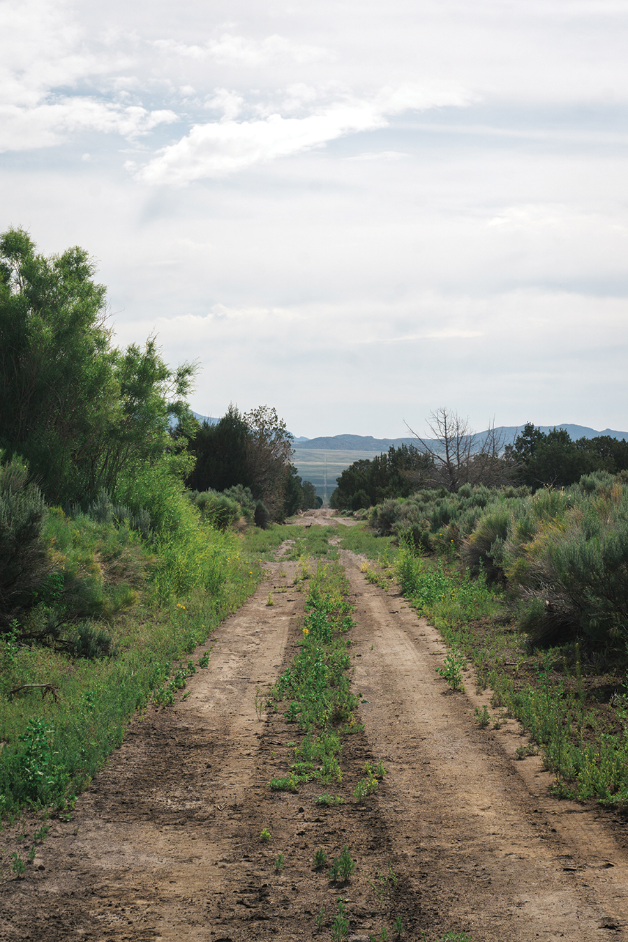 bikepacking eastern nevada