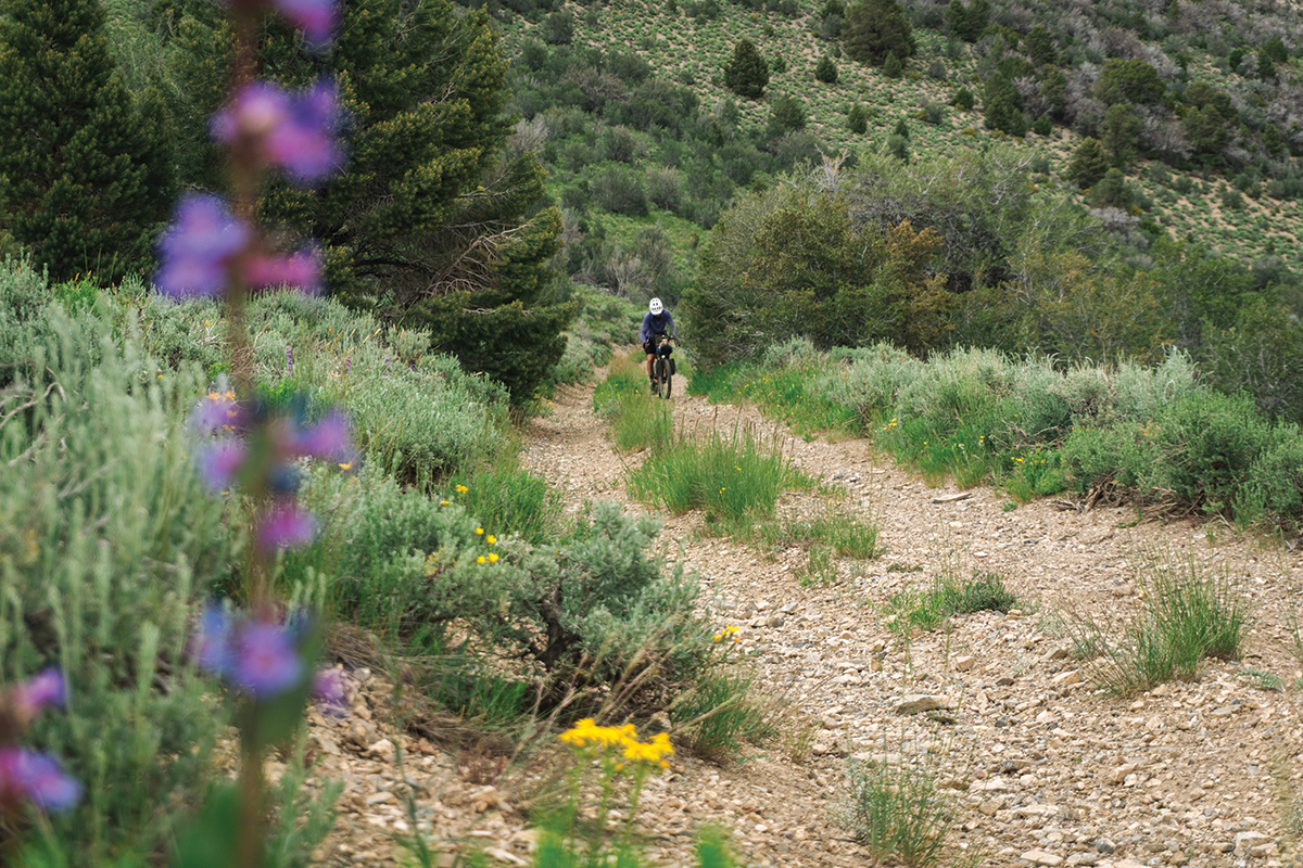 bikepacking eastern nevada